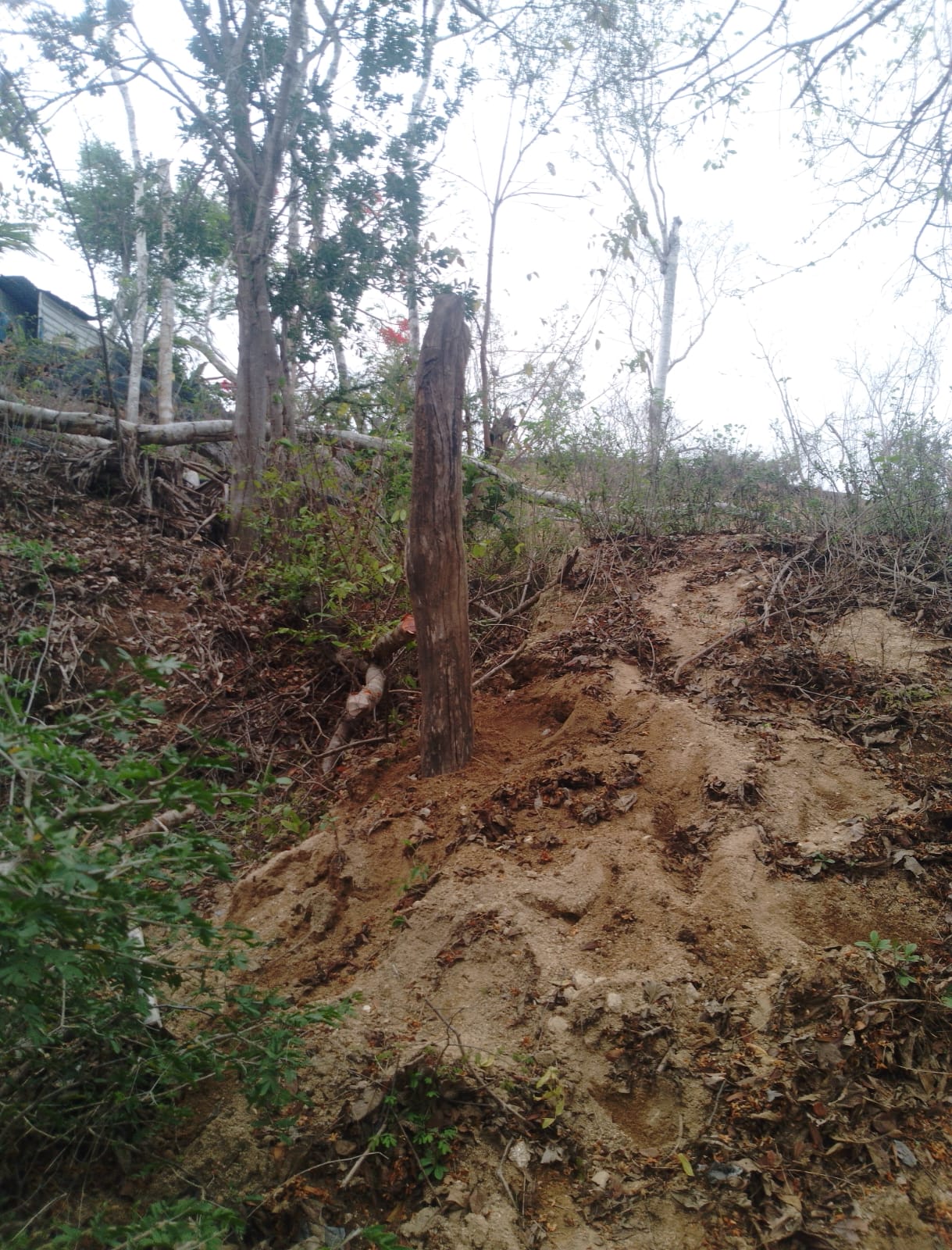 Terreno mazunte